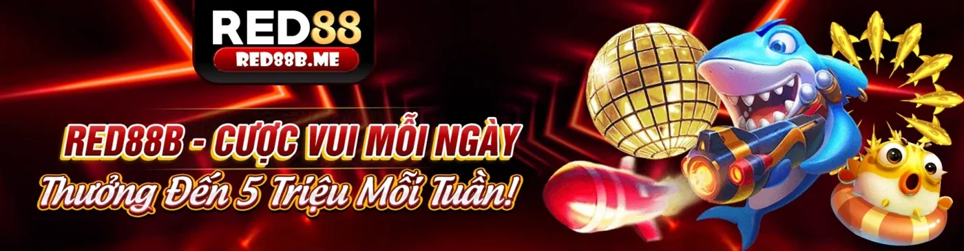 Tin tức cado888 code mới nhất 2026